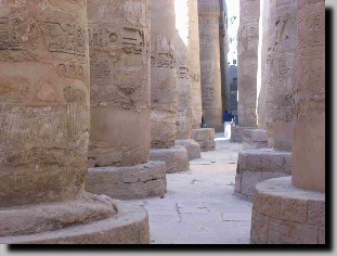 Fort de 134 colonnes .